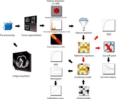 Prognostic Value of Pre-Treatment CT Radiomics and Clinical Factors for the Overall Survival of Advanced (IIIB–IV) Lung Adenocarcinoma Patients